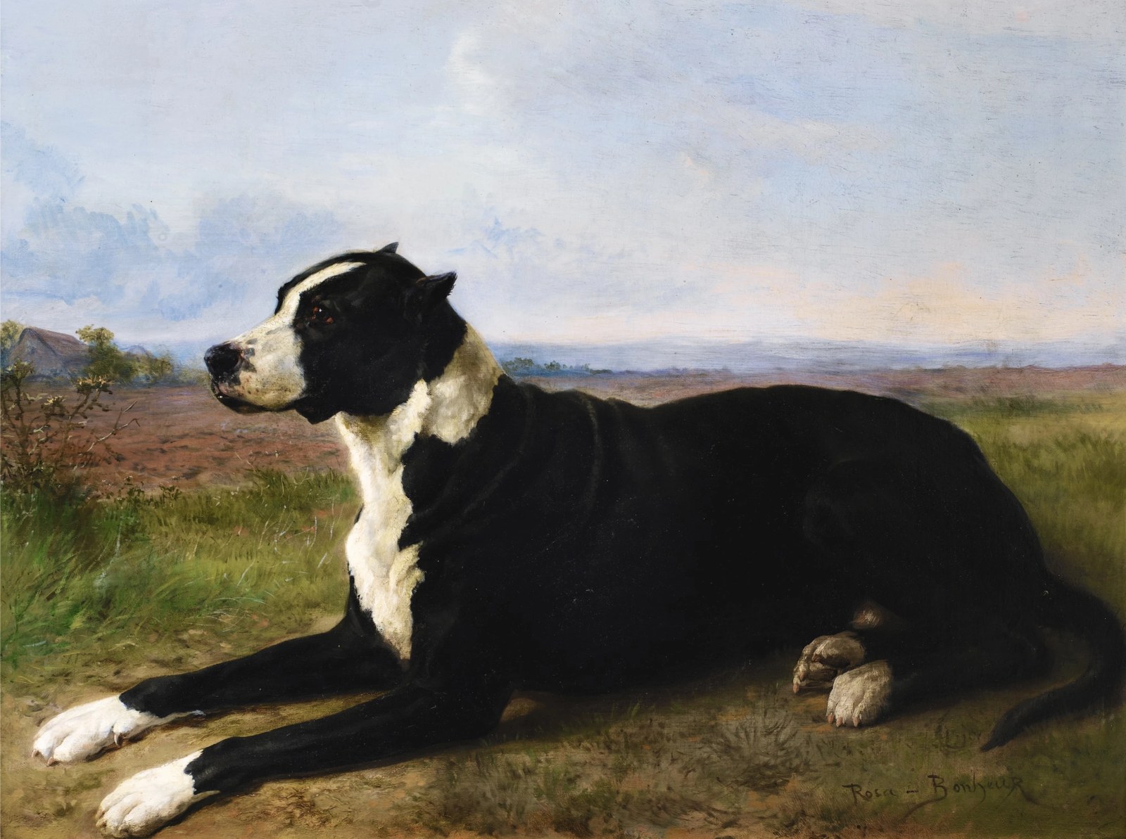 Portrait of a mastiff-labrador in a landscape