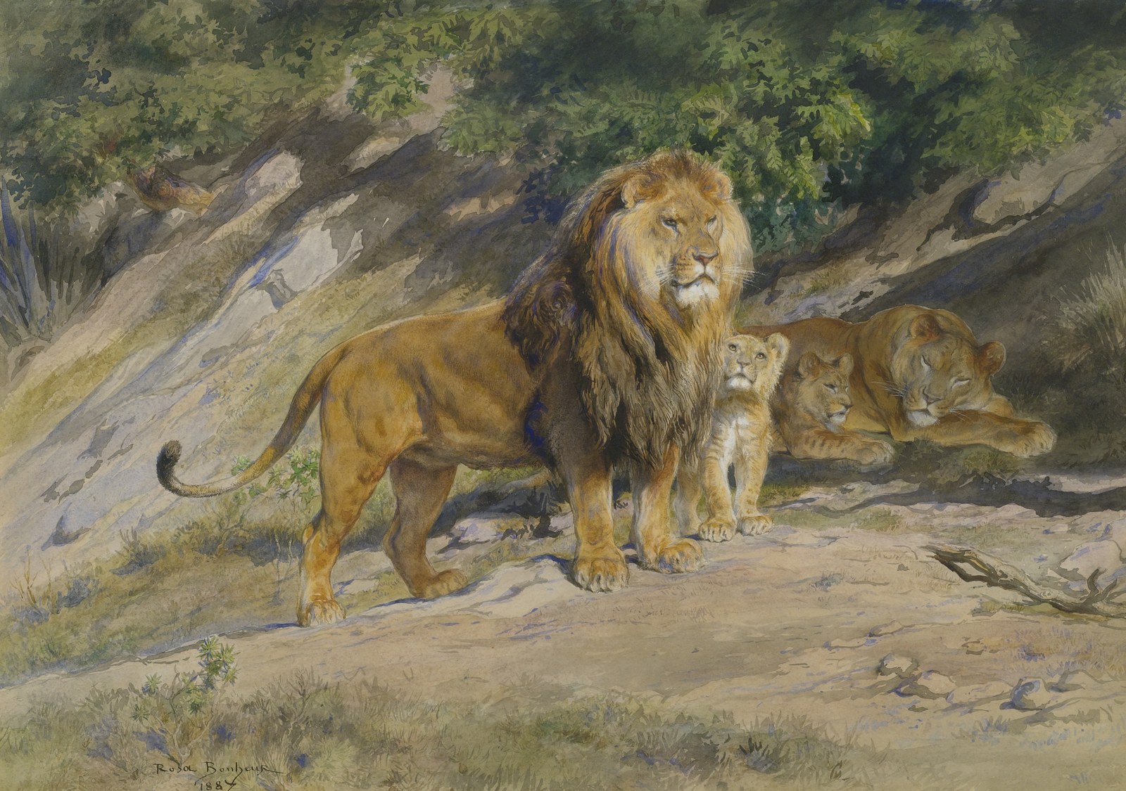 The King watches