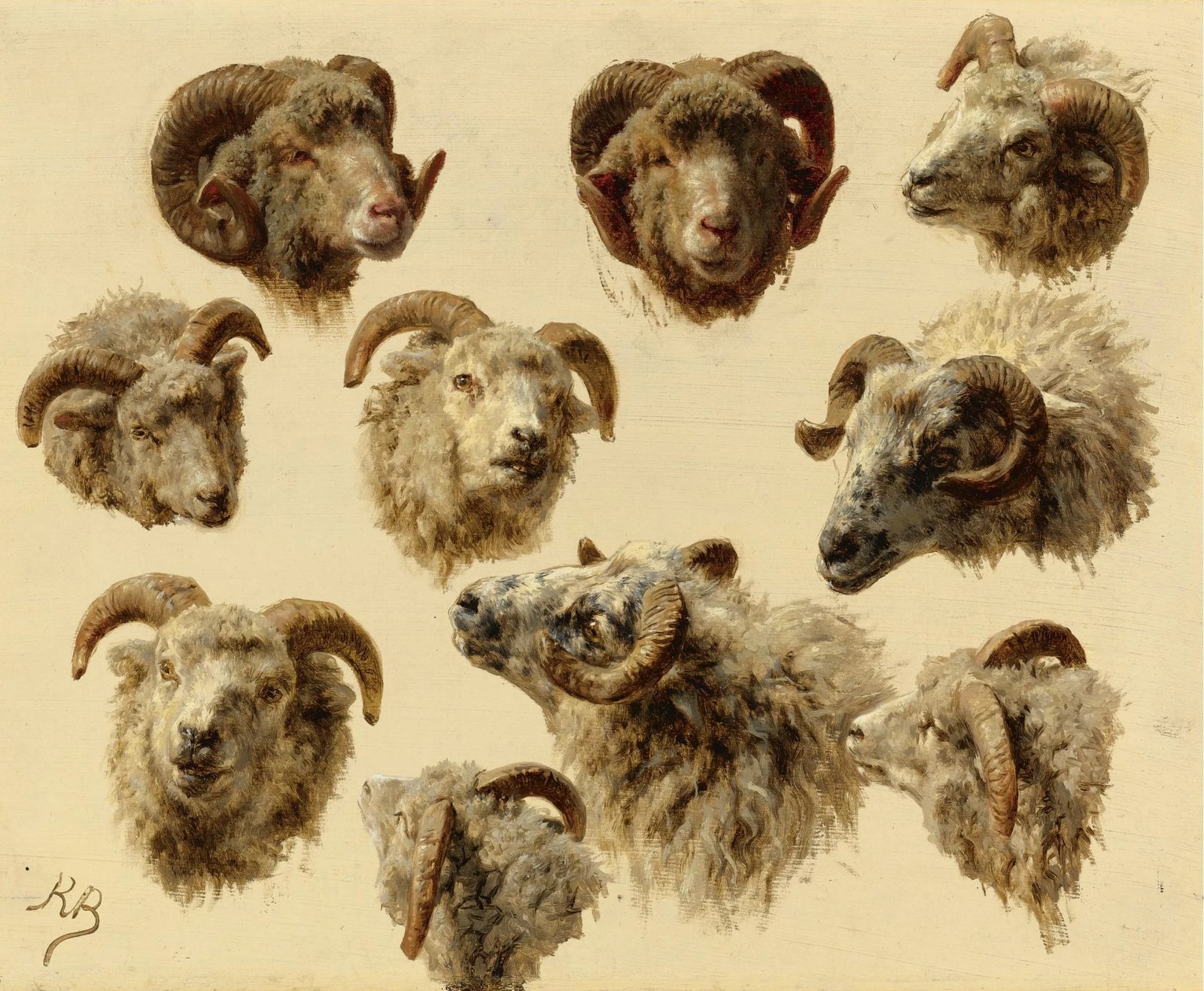 Study of Rams' Heads
