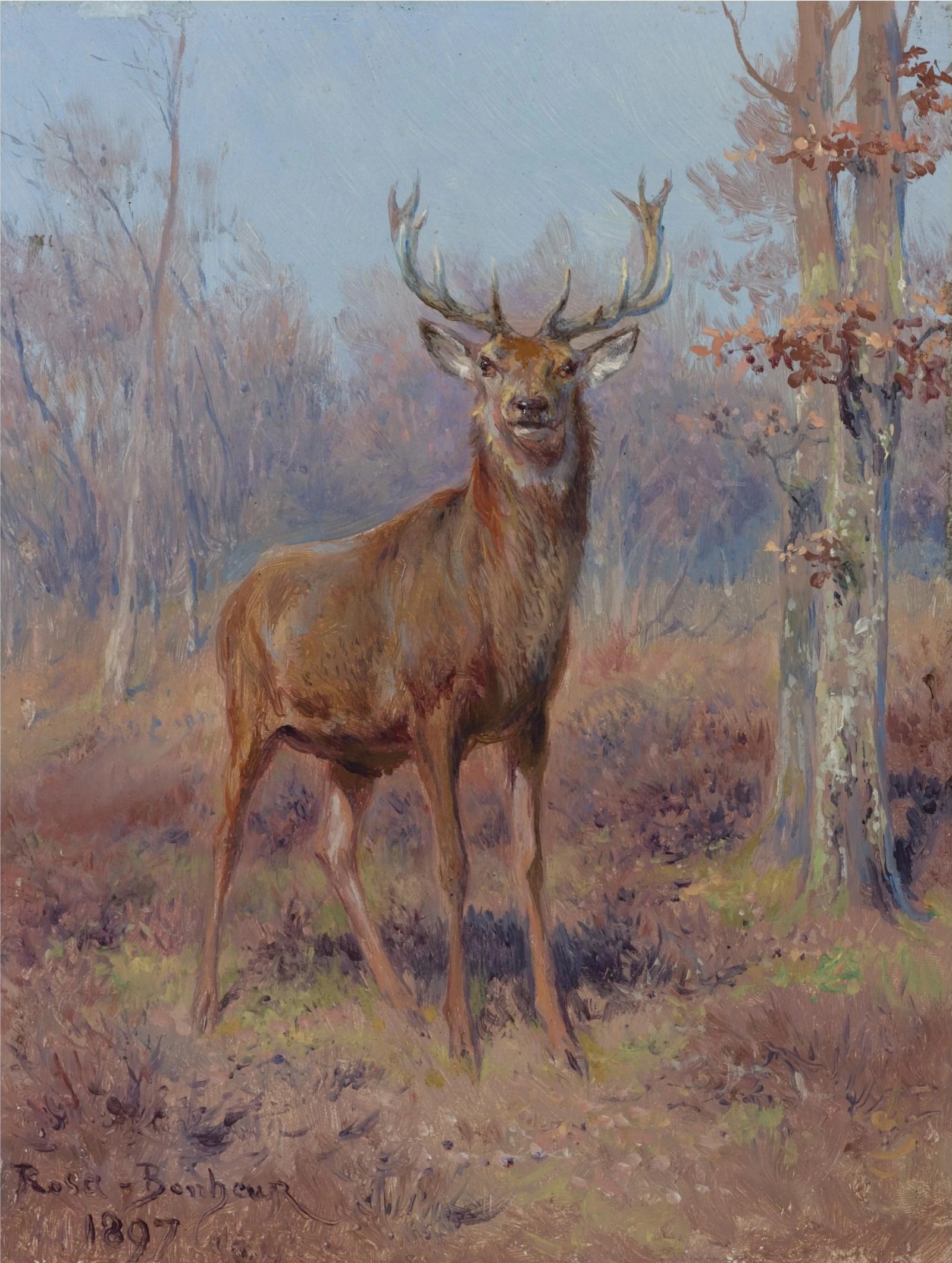 Young Stag in a Wooded Landscape