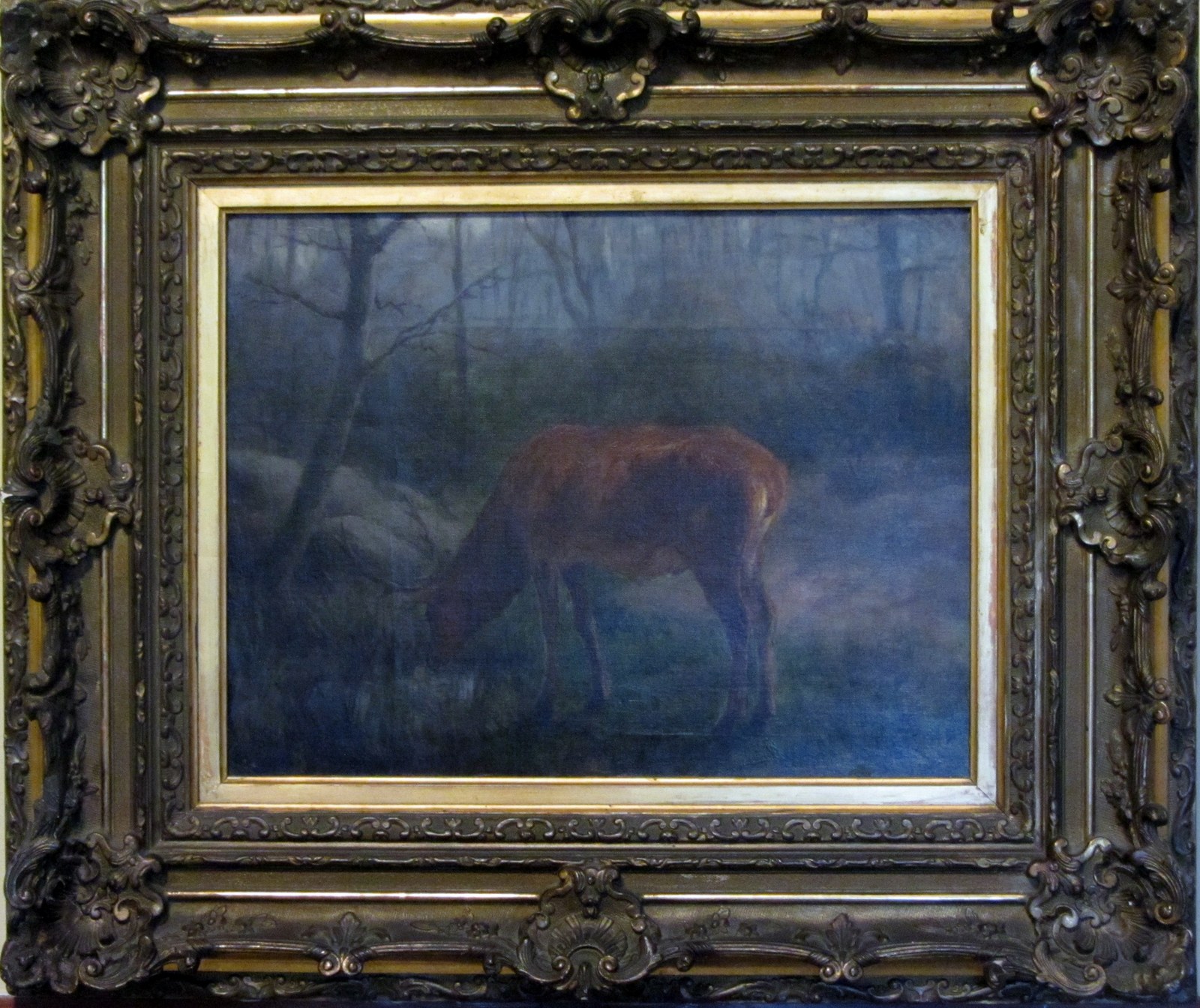 Venado
