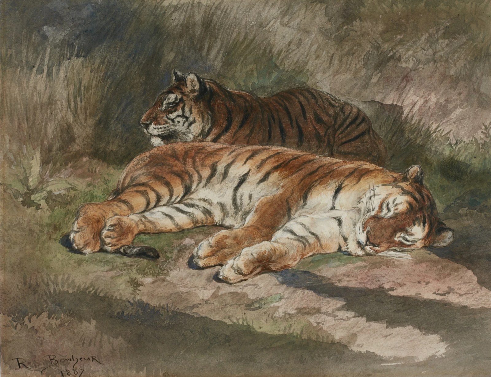 Two recumbent tigers