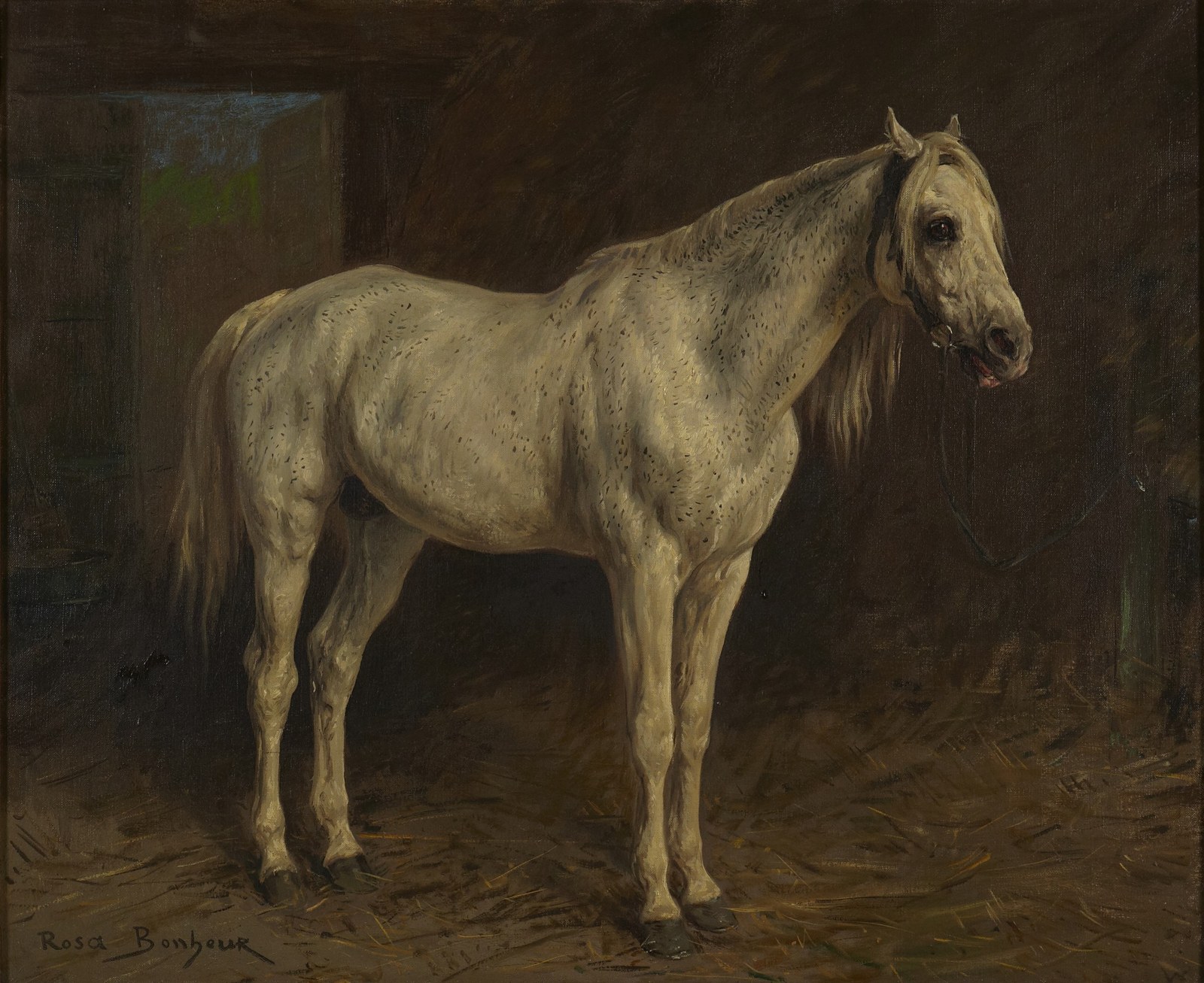 White Horse
