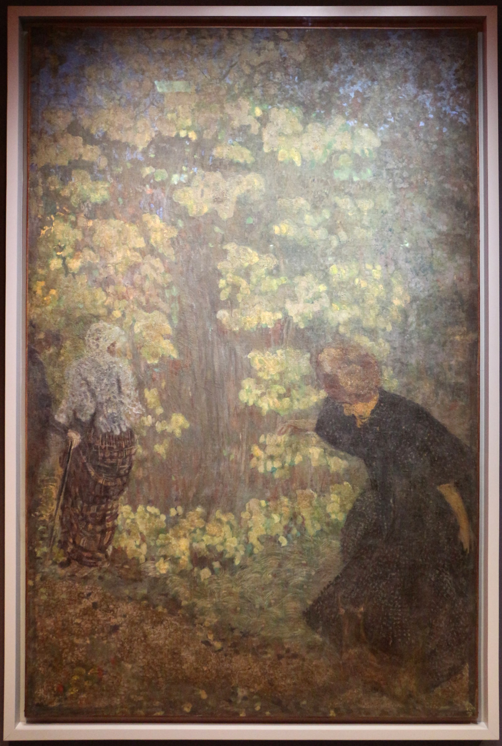Lilacs