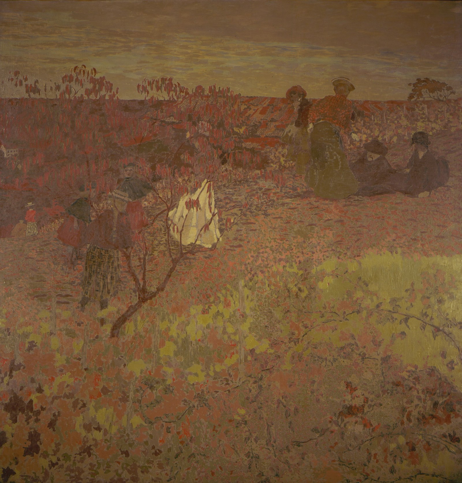 Walking in the Vineyard