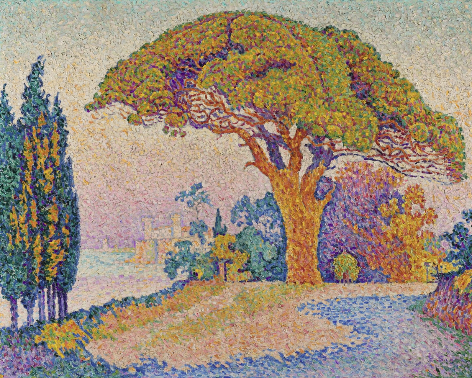 Bertaud's Pine