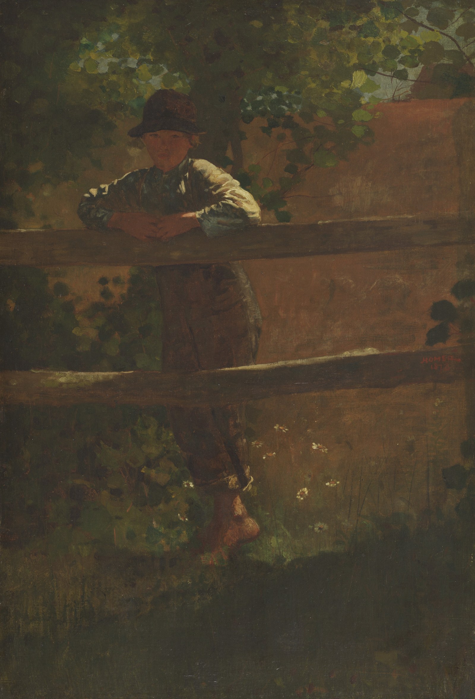 A Country Lad