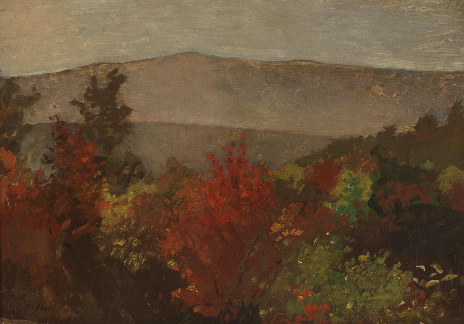 Autumn Tree Tops