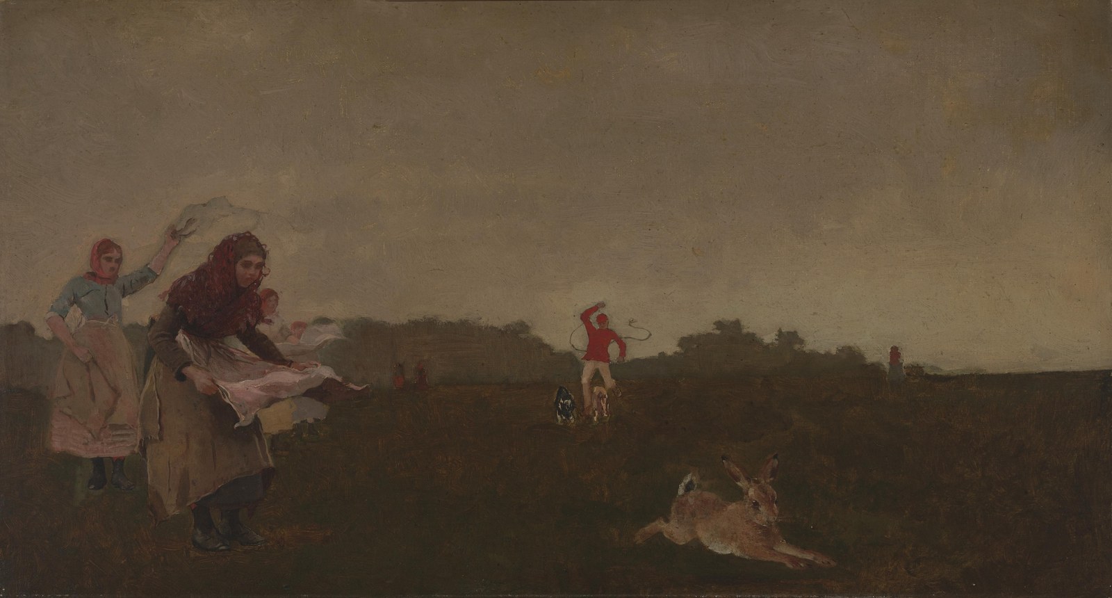 Coursing the Hare