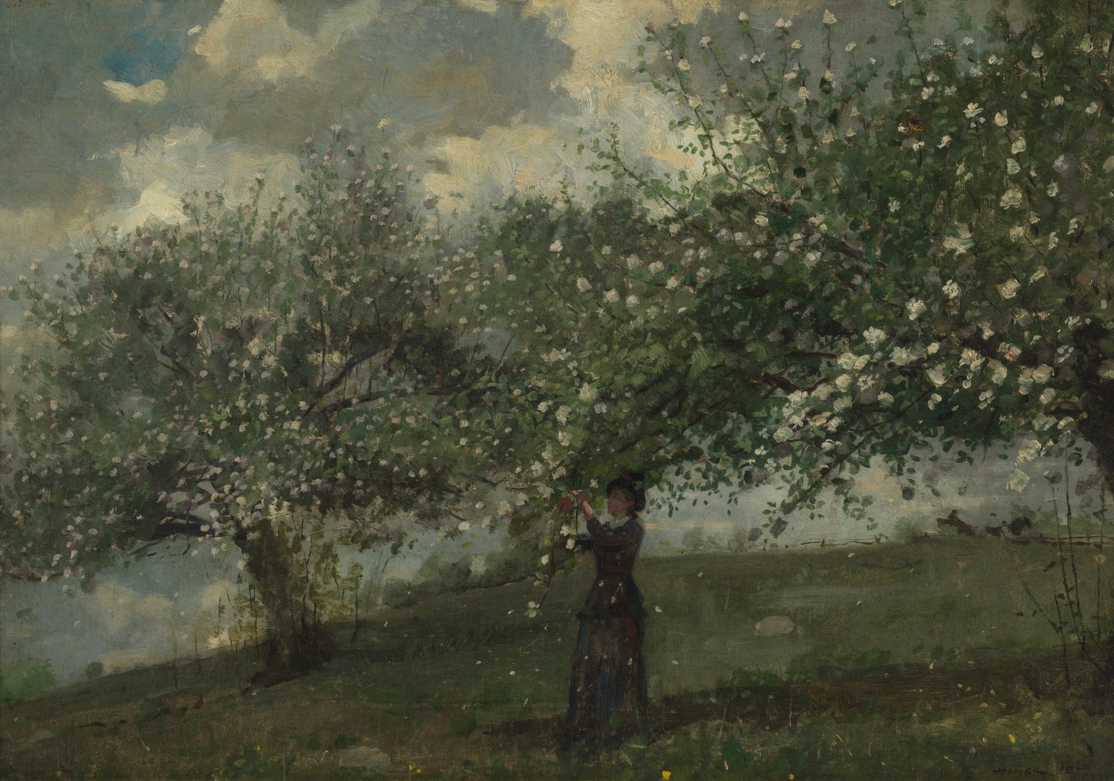 Girl Picking Apple Blossoms