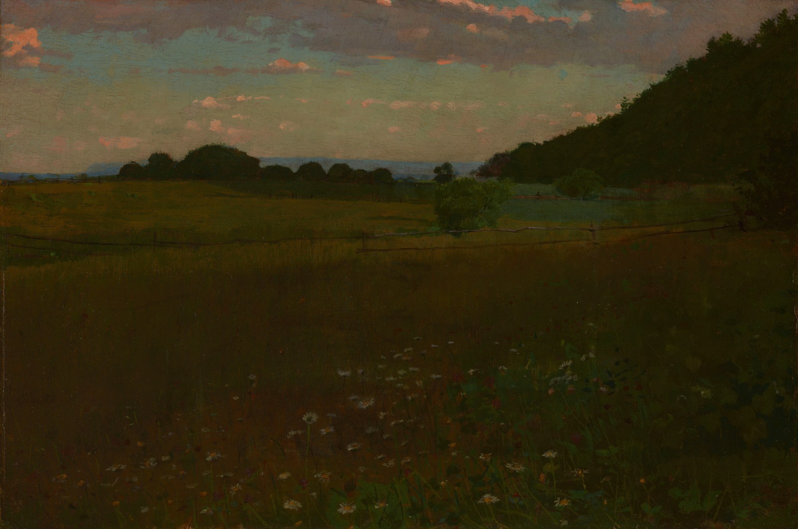 Evening