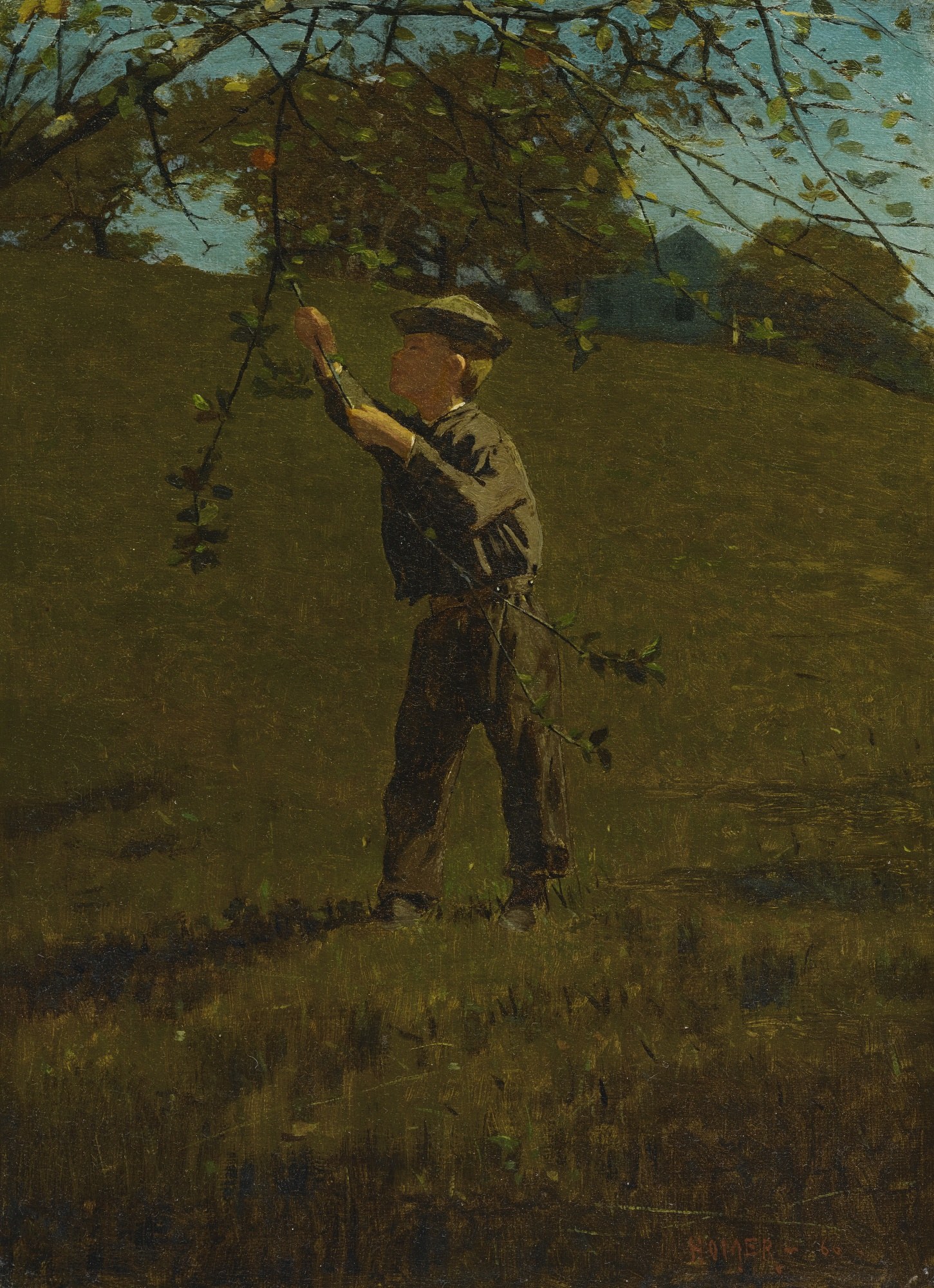 Green Apples