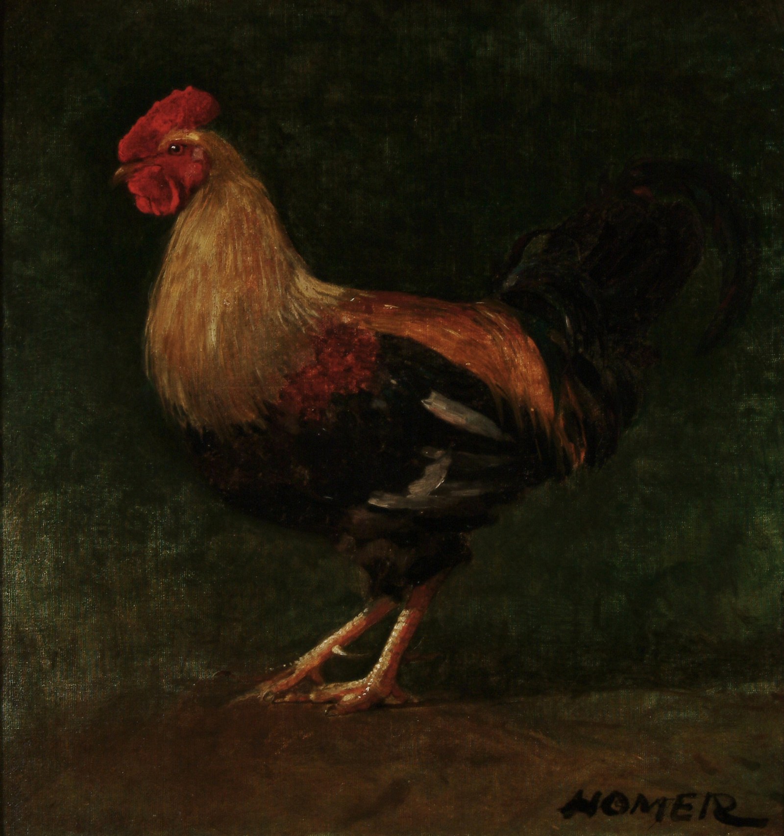 The Rooster