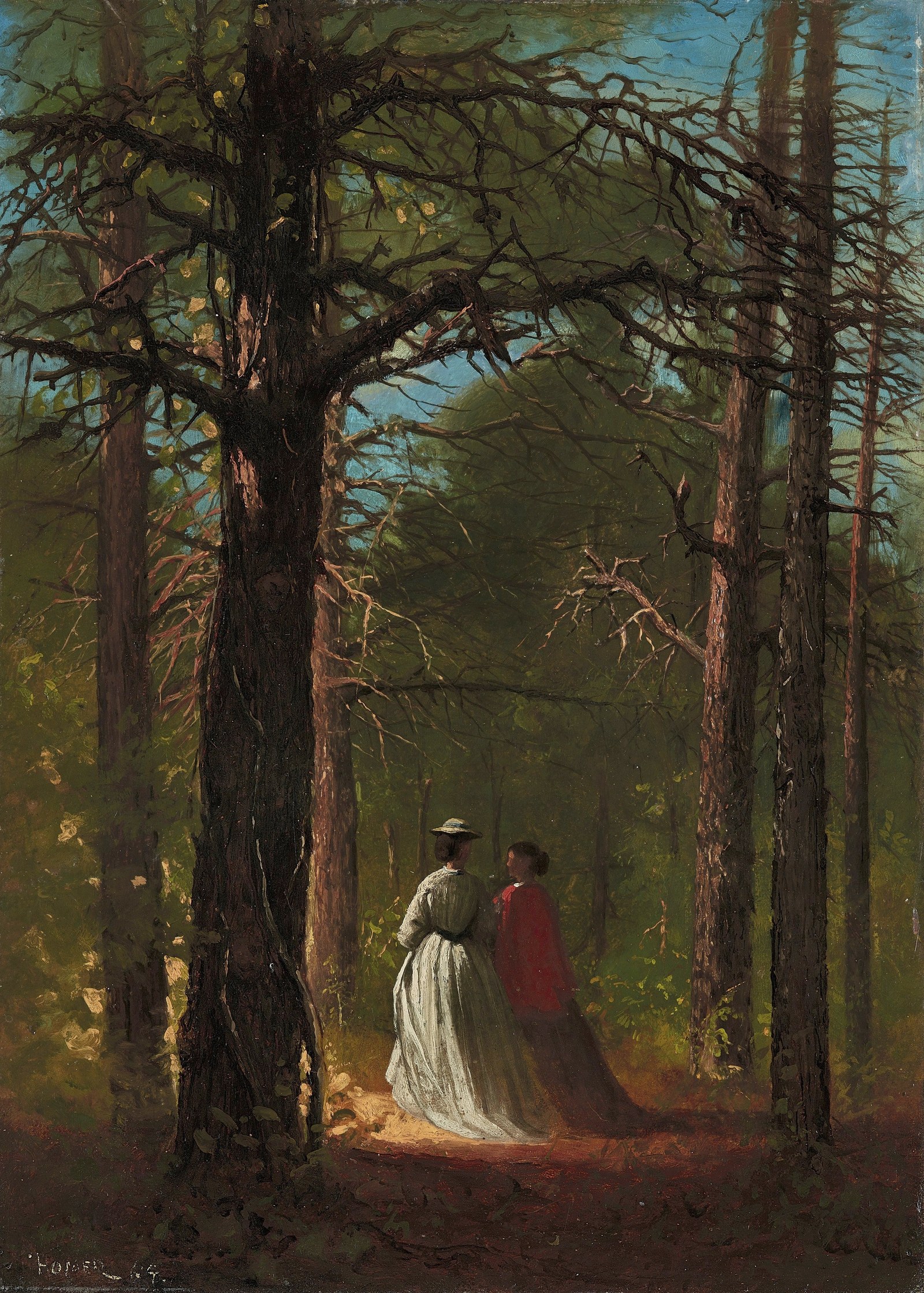 Waverly Oaks