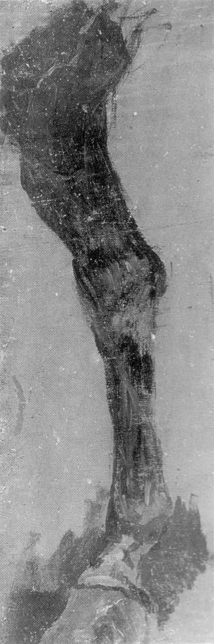 Fairman Rogers Four-in-Hand: Study of a Horse's Leg