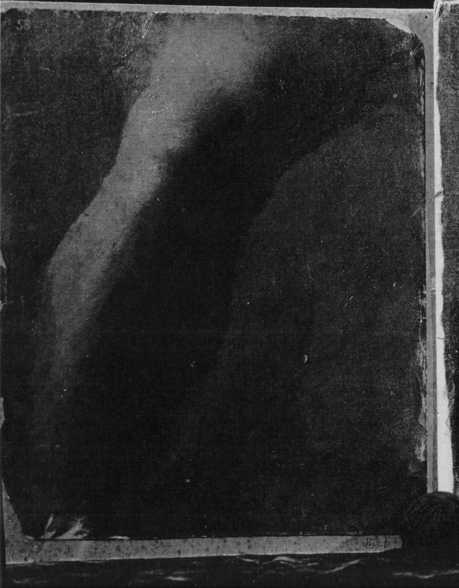 Study of a leg