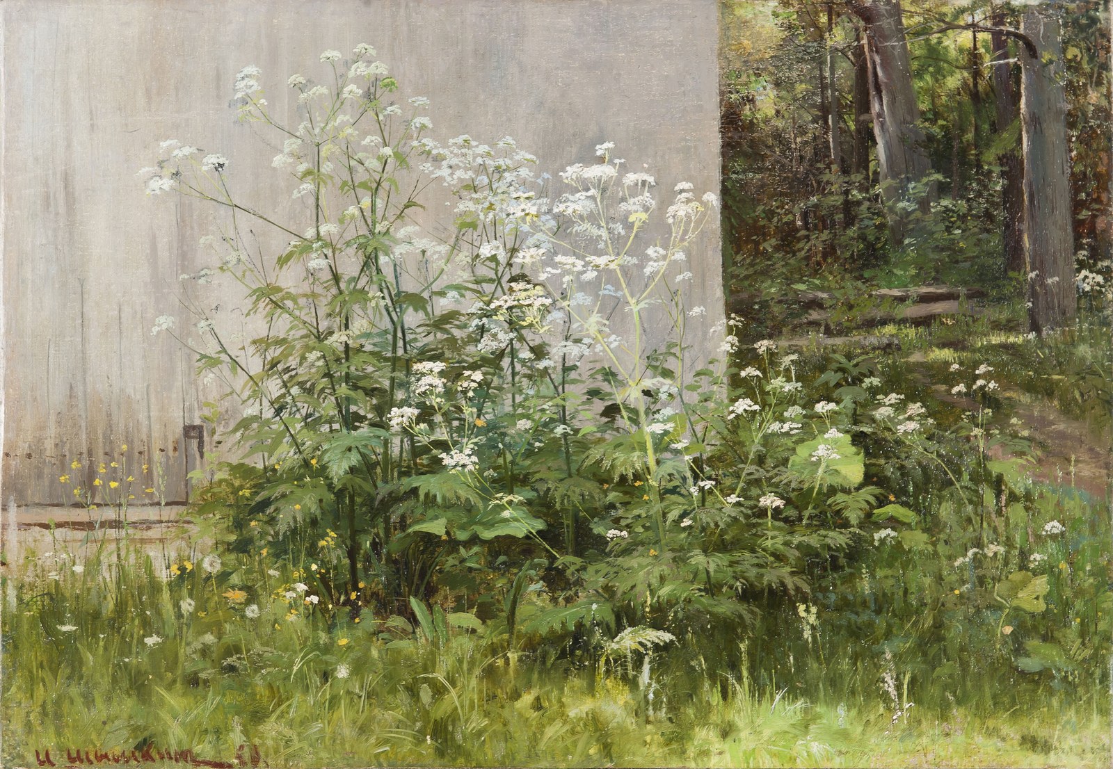 Flowers at the fence
