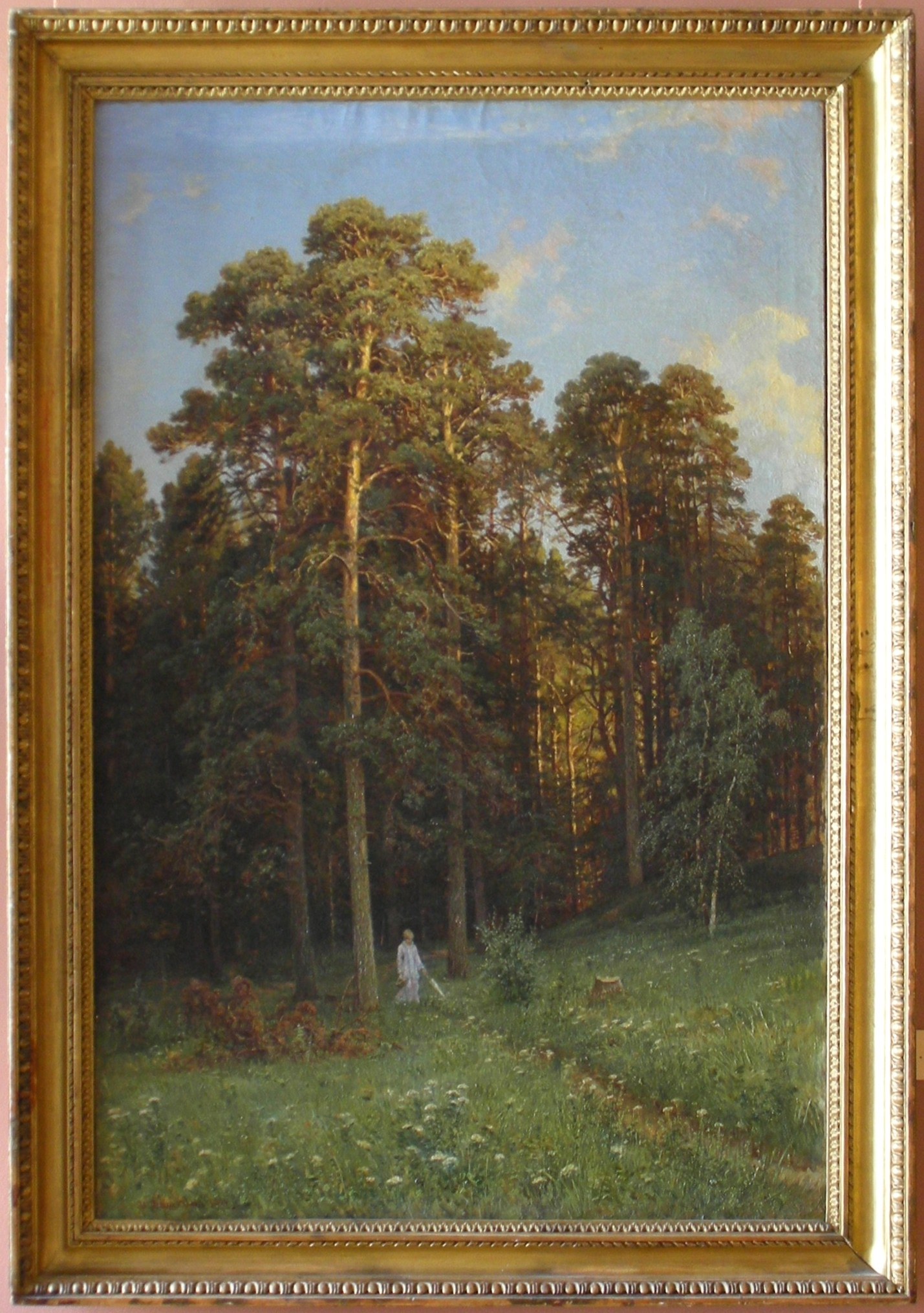 At the edge of a pine forest