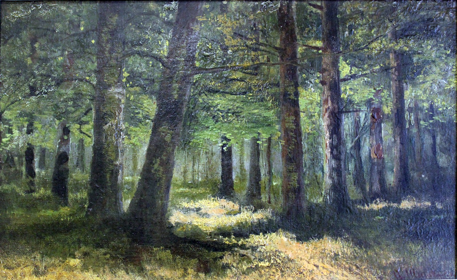 Forest
