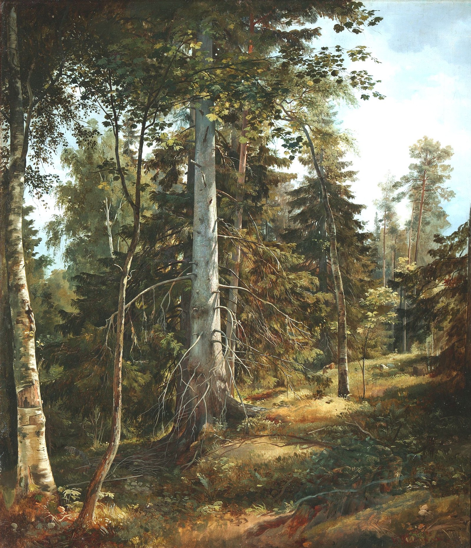 Forest Thicket