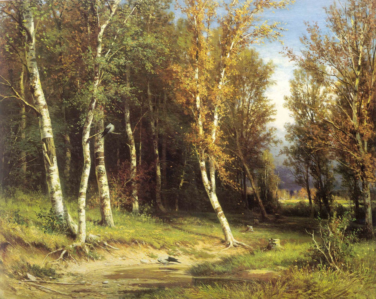 Forest Before the Storm
