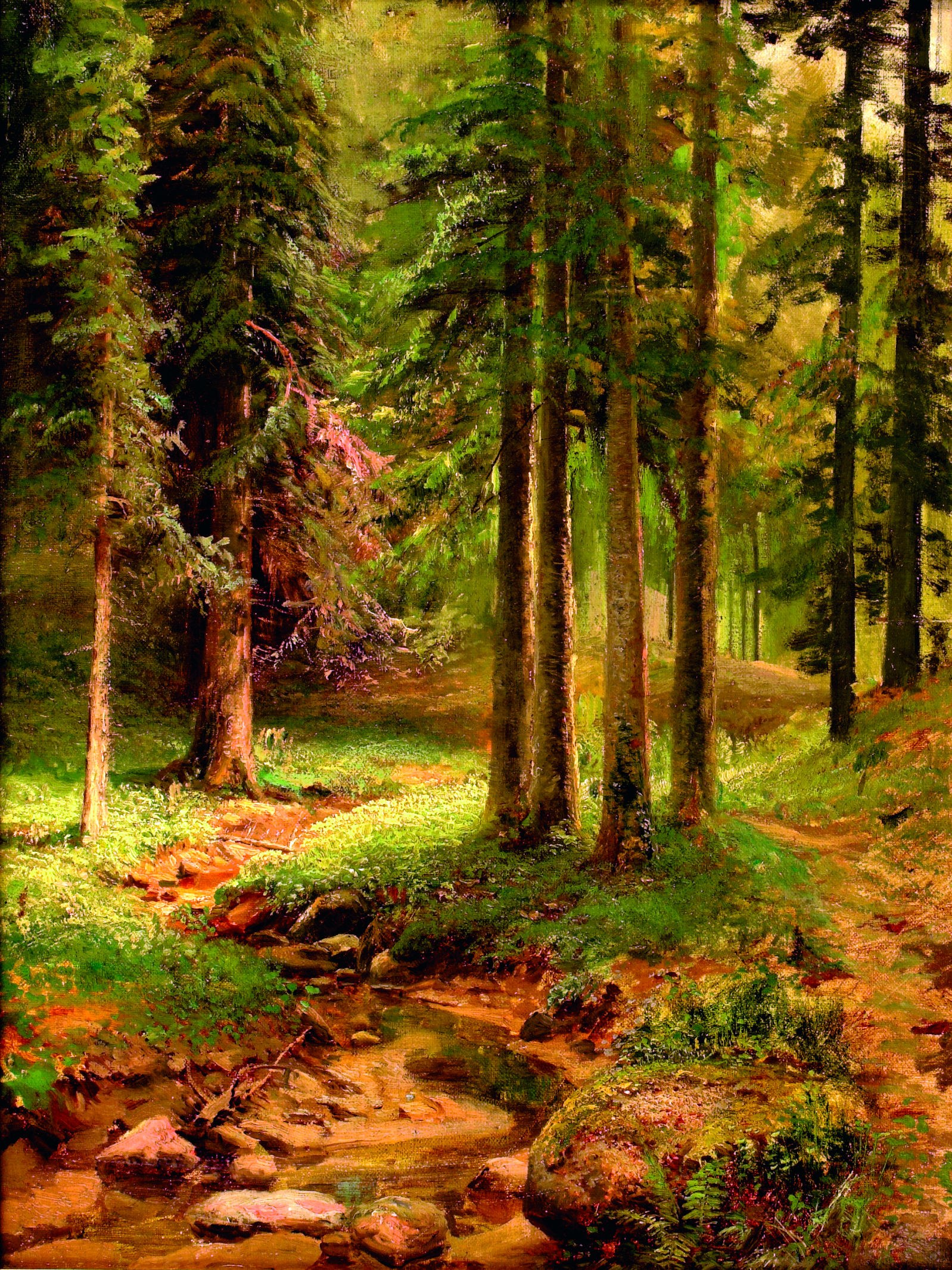 Forest landscape