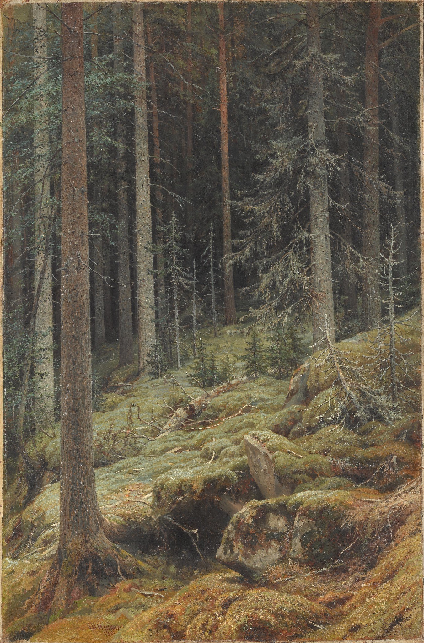 Wilds