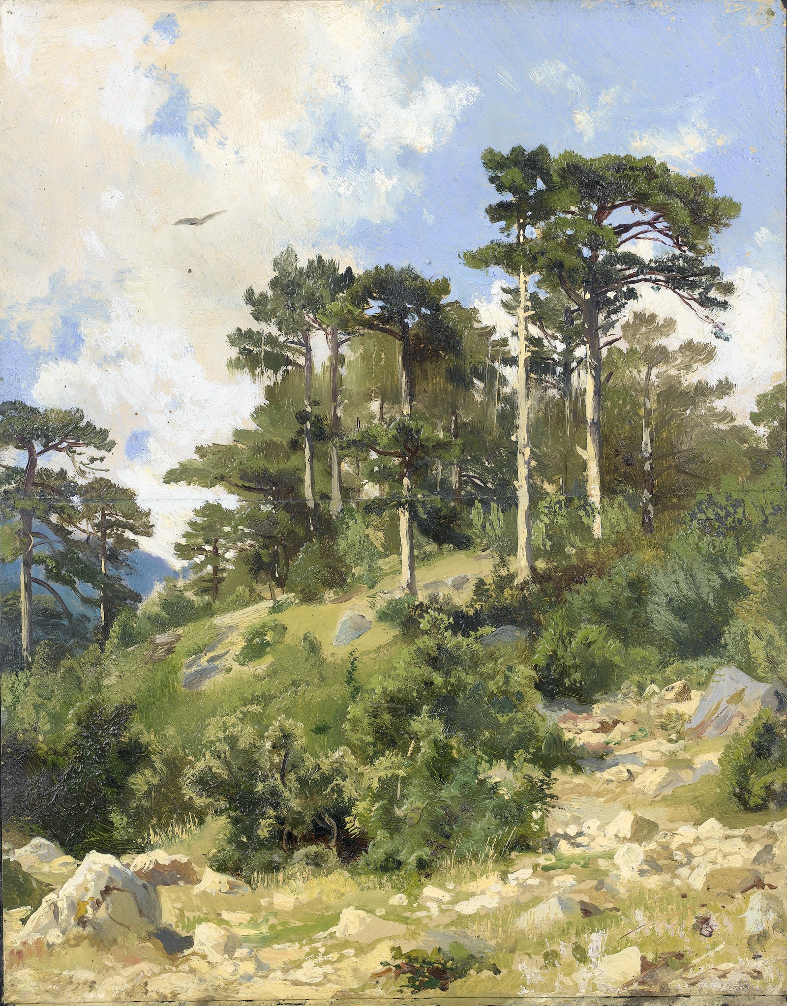Wooded landscape