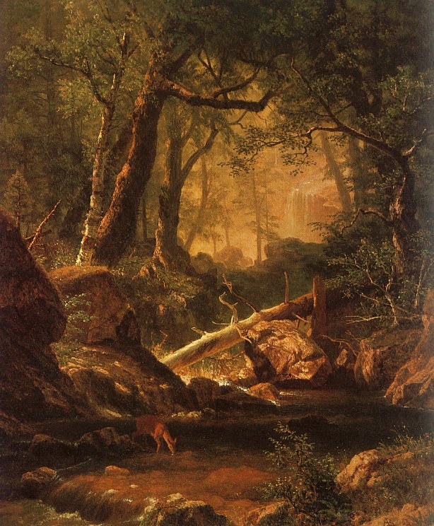 Ohne Titel Nr. 5