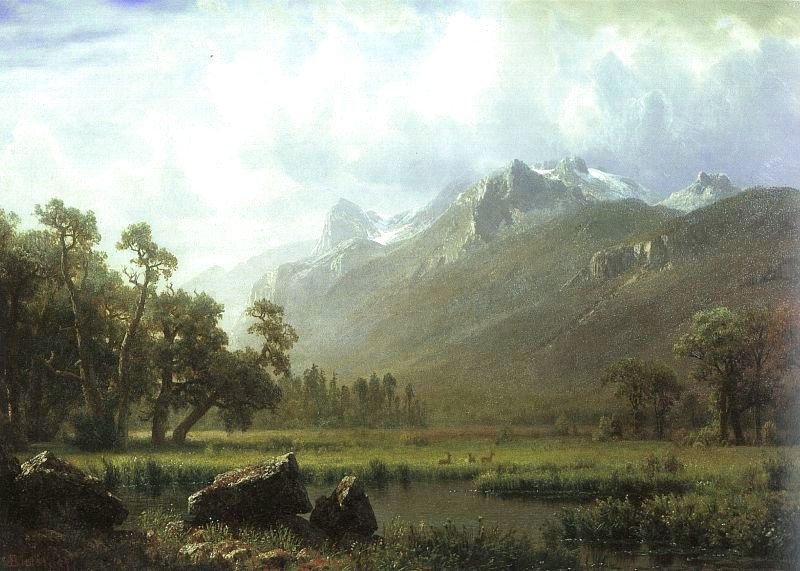 Ohne Titel Nr. 8