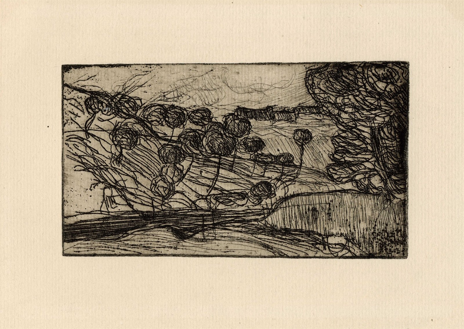 Trees by the Riverside
