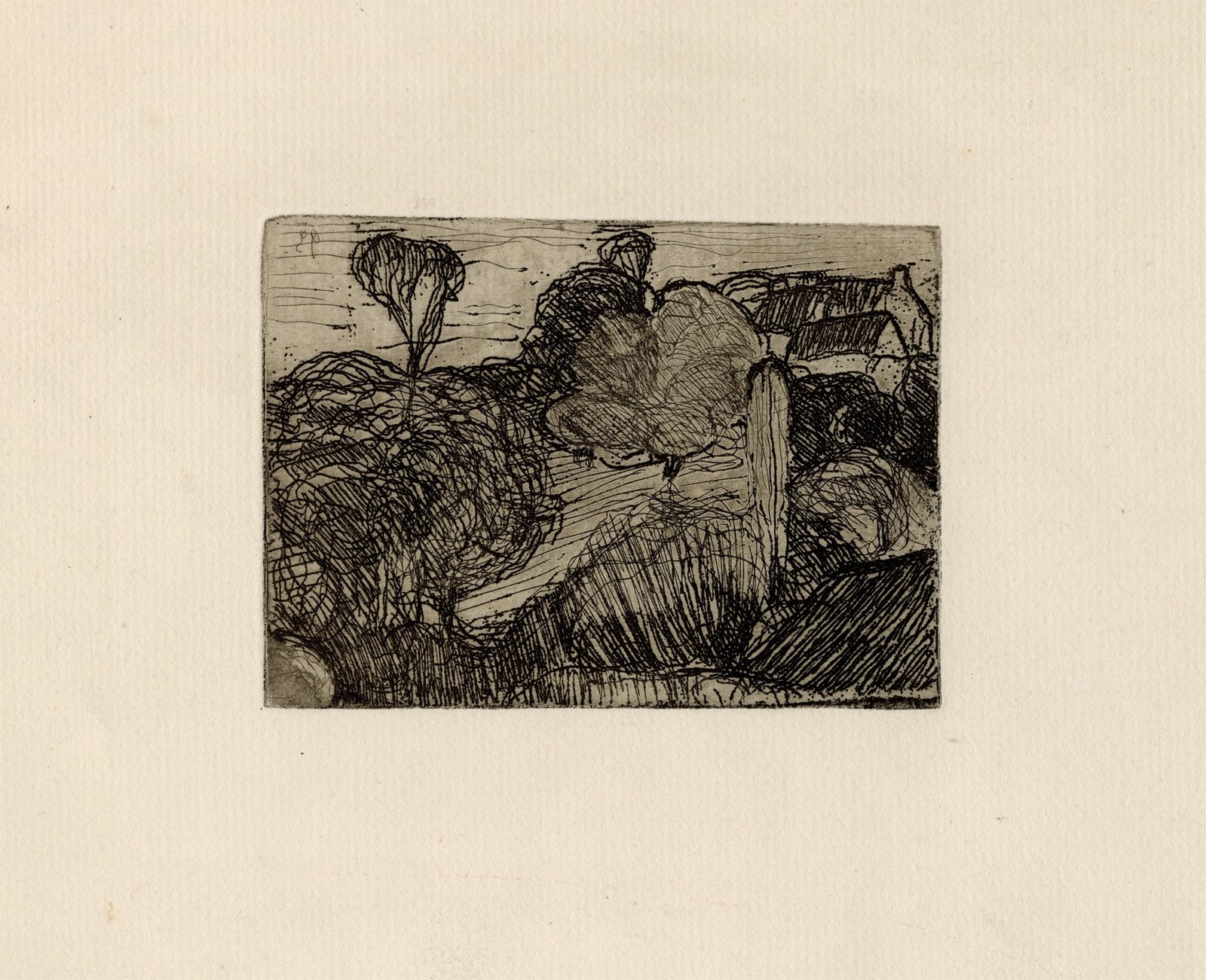 Small Landscape