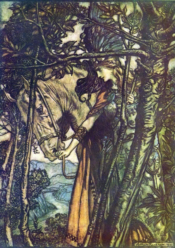 Illustration for The Ring of the Nibelung