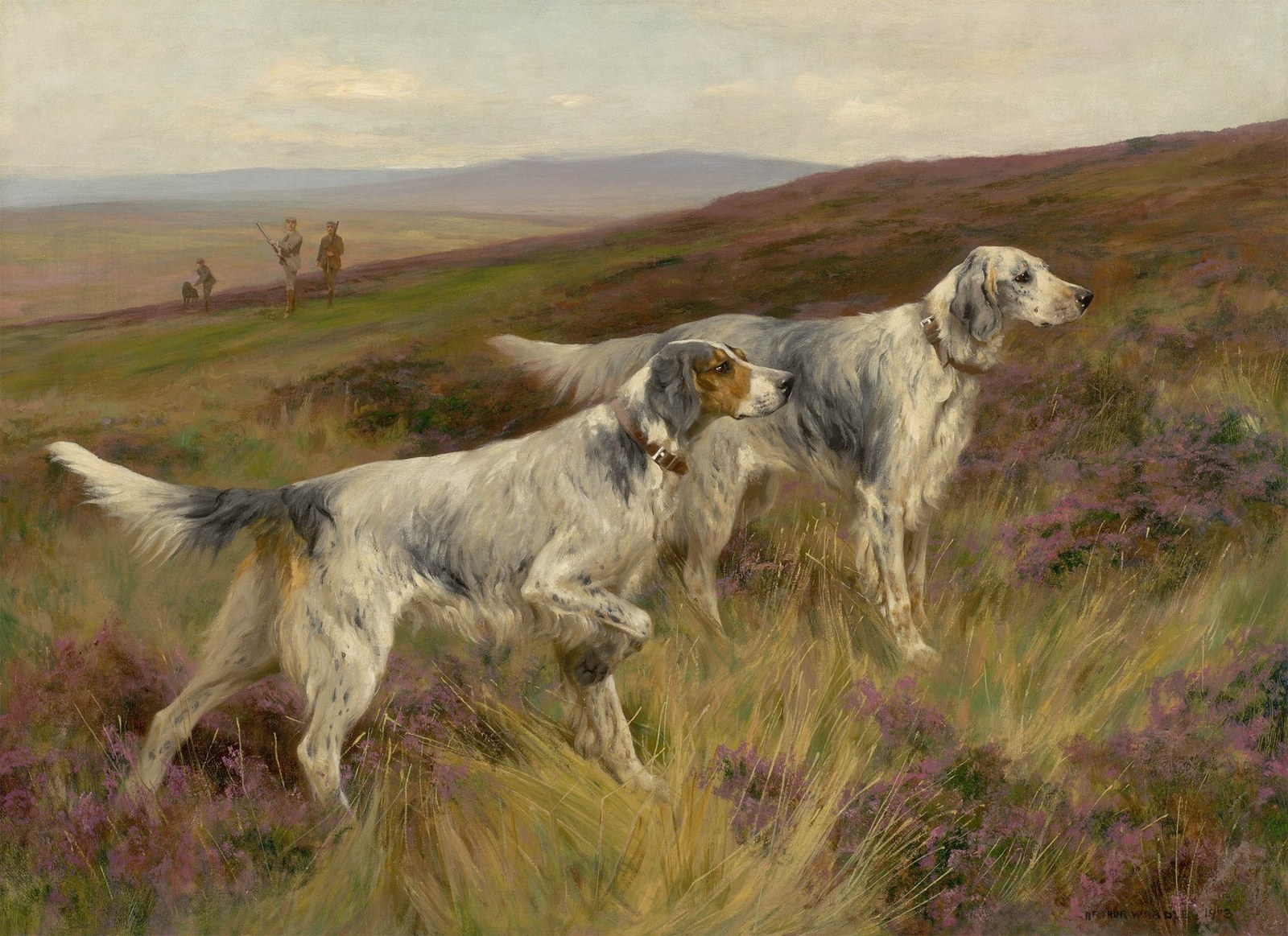 Two English Setters on a Grouse Moor