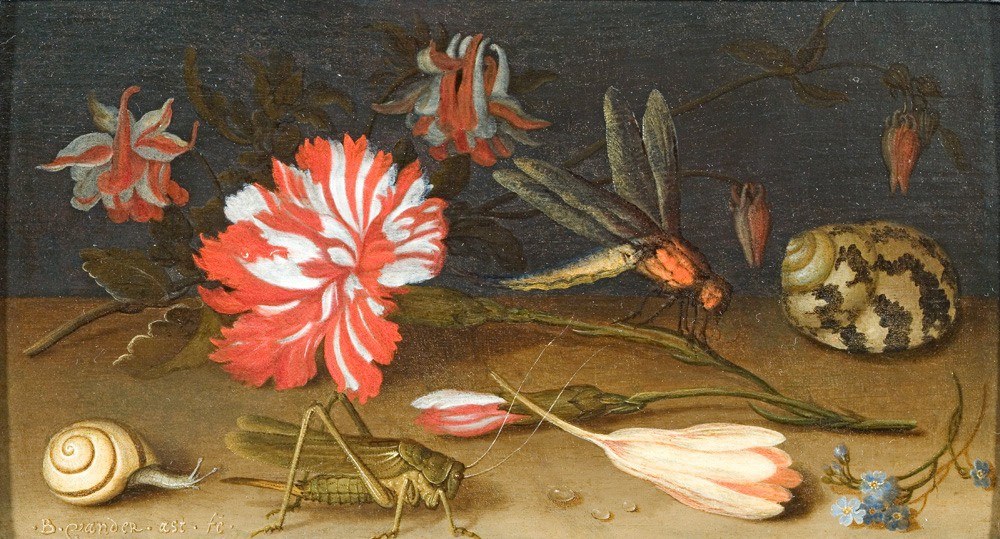 Still Life with Flowers, a Shell, a Snail and Insects