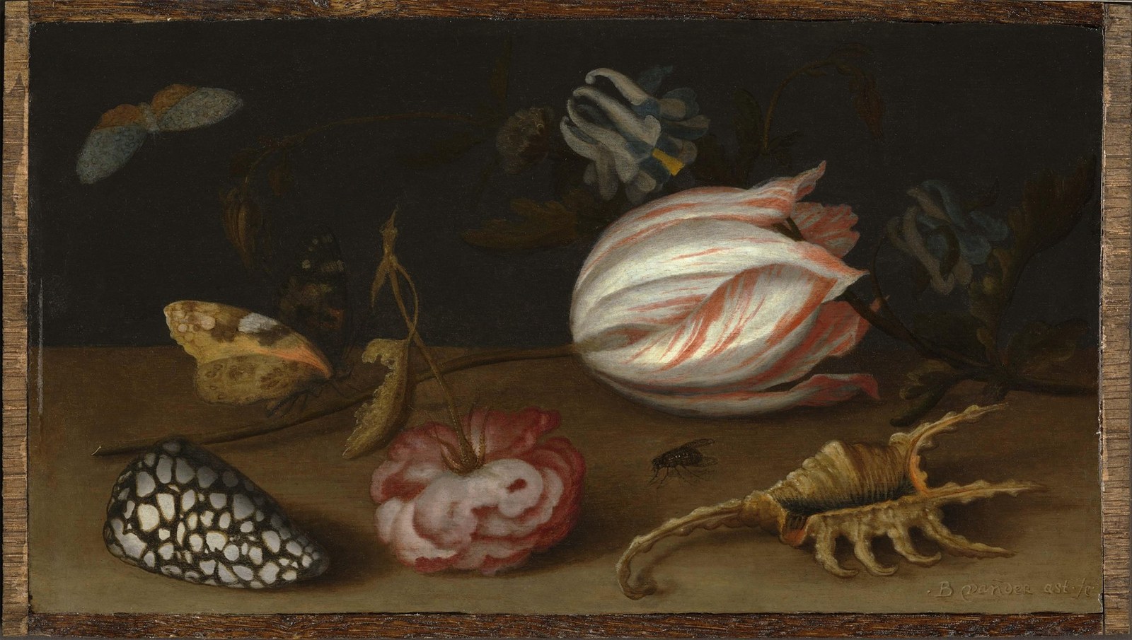 Still Life with Flowers, Shells and a Butterfly