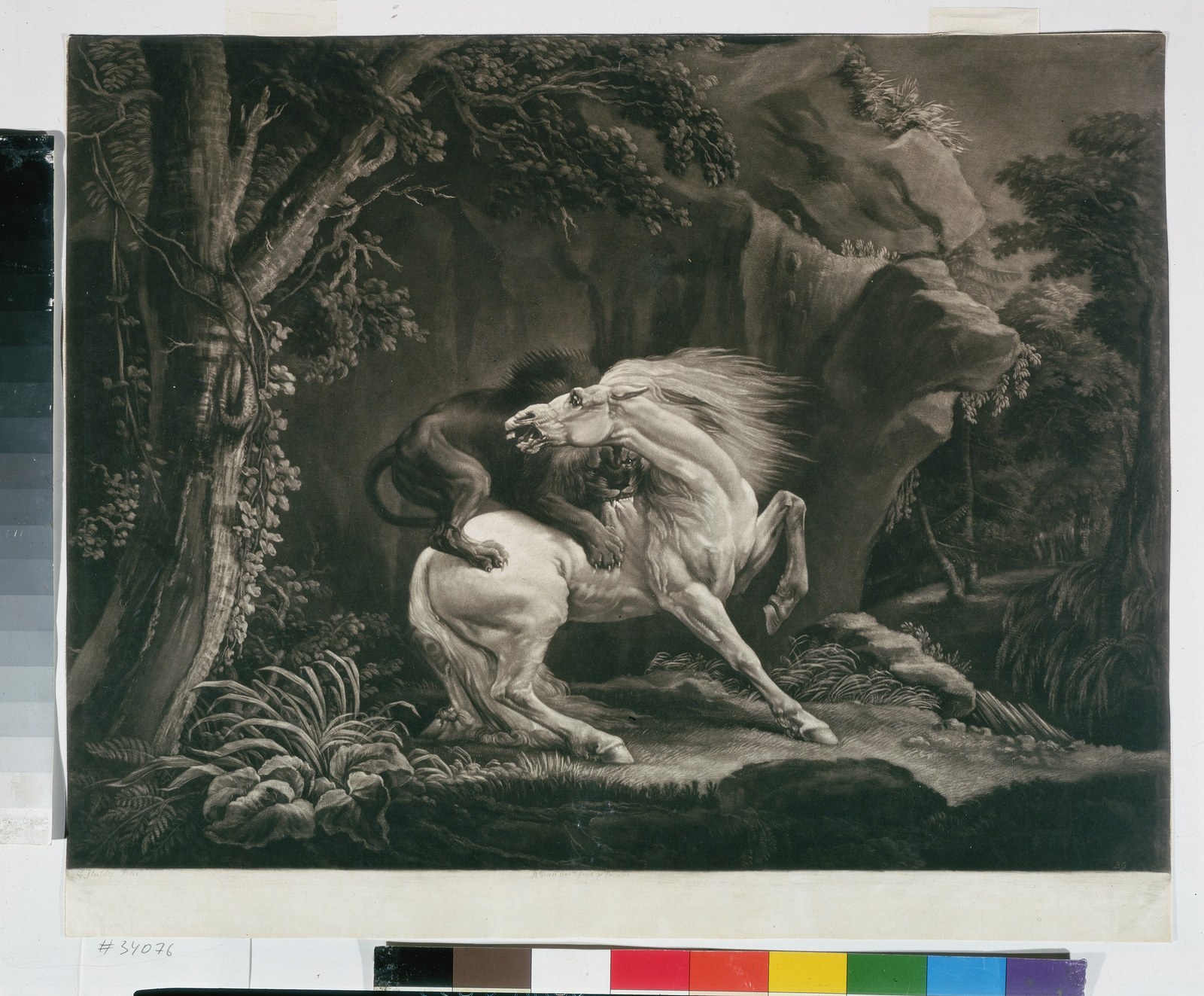 Horse Attacked by a Lion