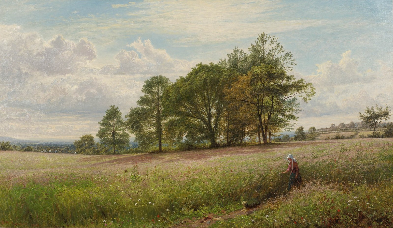 Summer Time through the Hayfield, Worcestershire