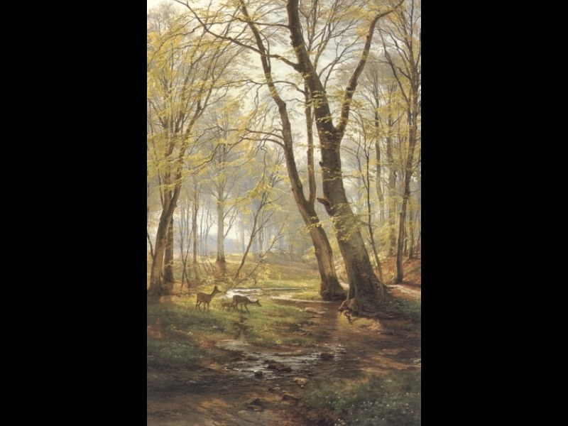 A Woodland Scene with Deer