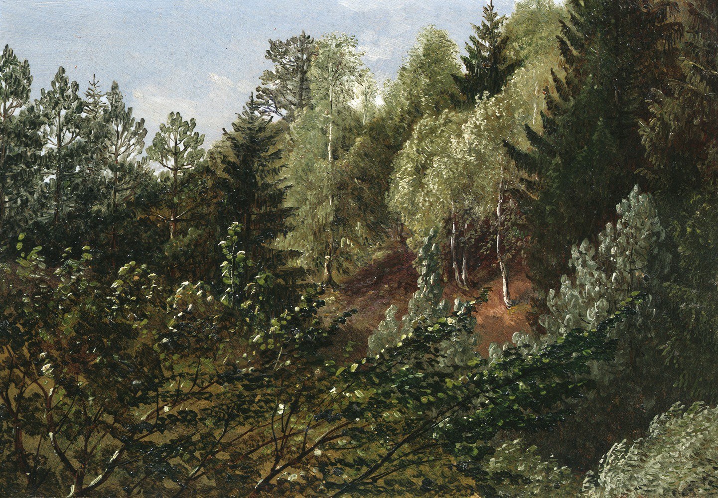 A Wooded Rise above the River Elbe in Springtime