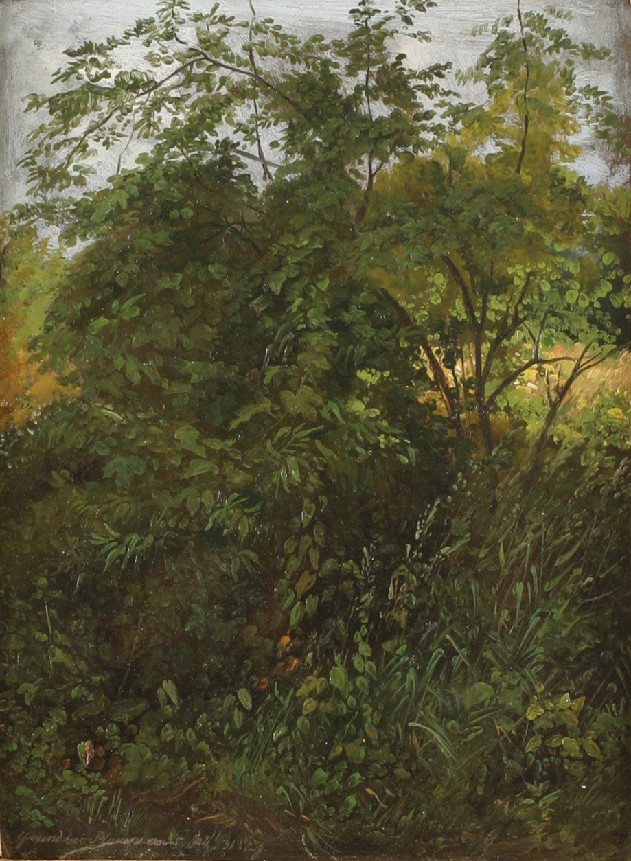 Wooded Rise near Plauen