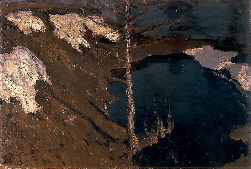 Stream in the Forest
