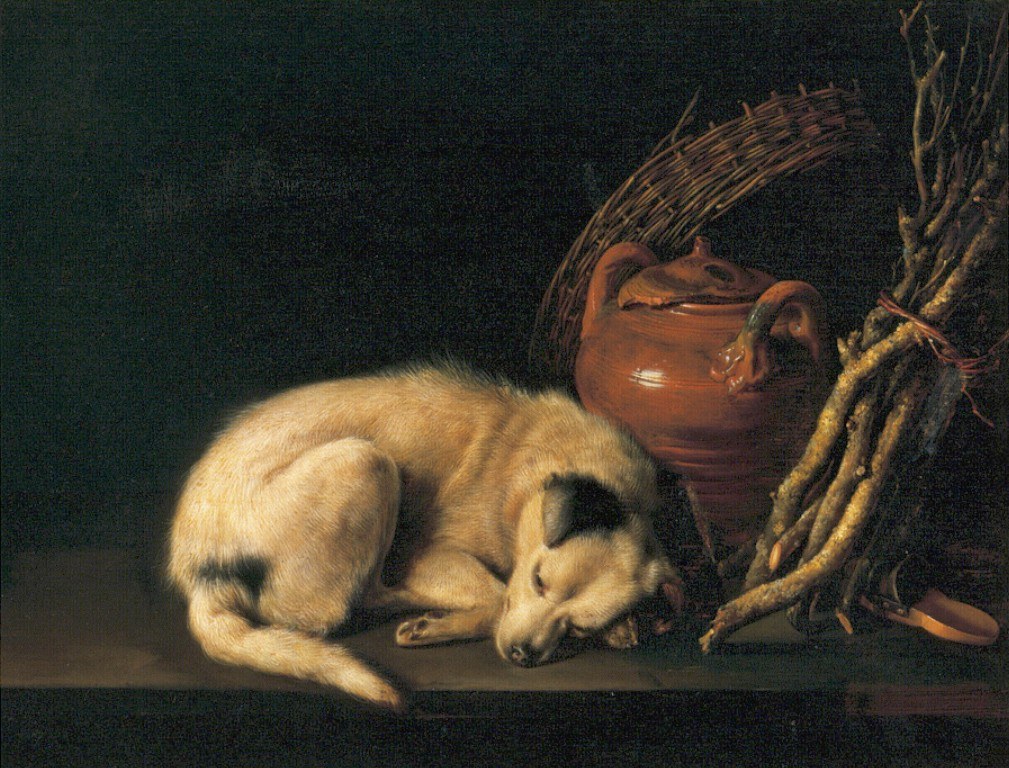 The Dog