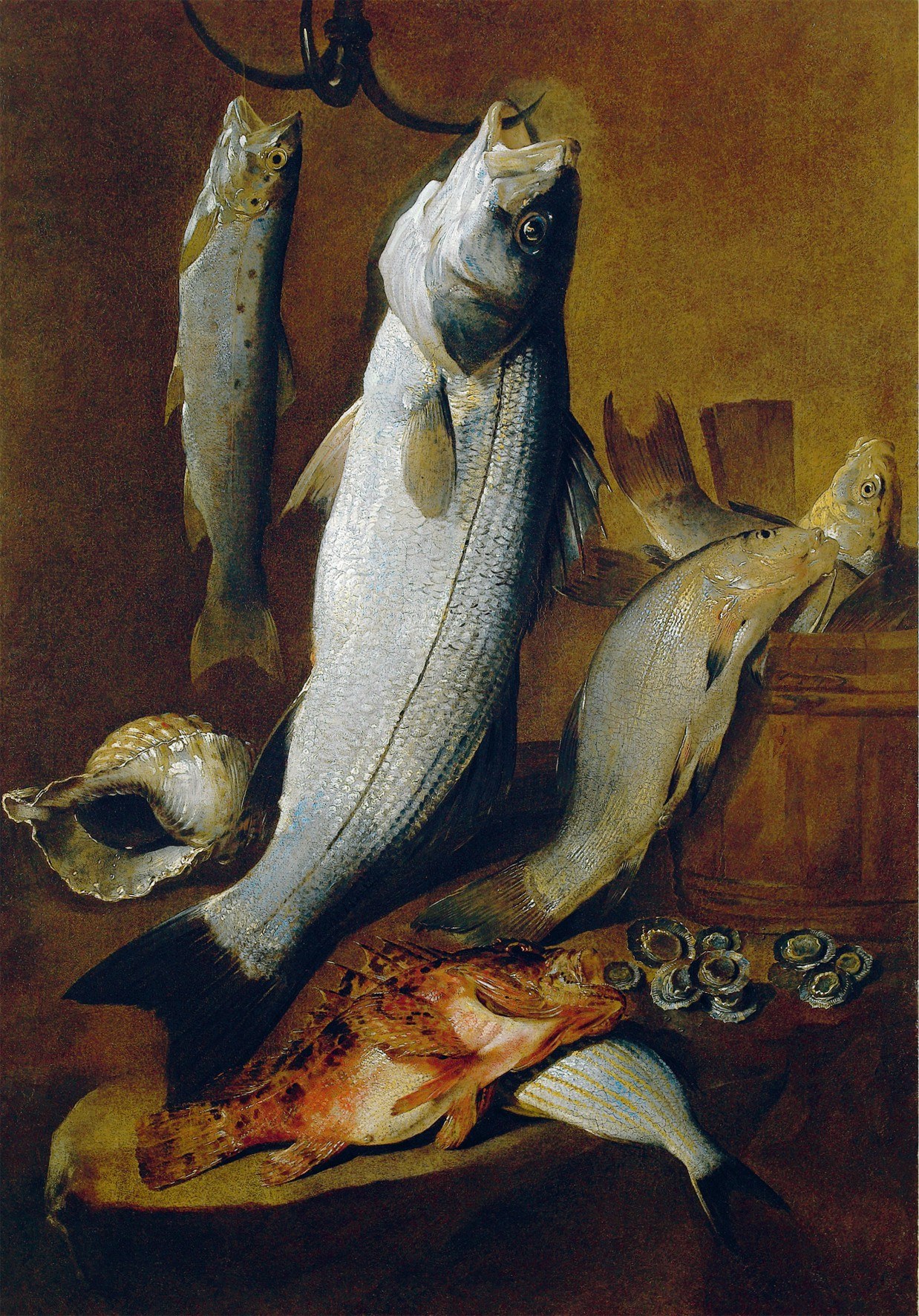 Still Life of Fish and Shells