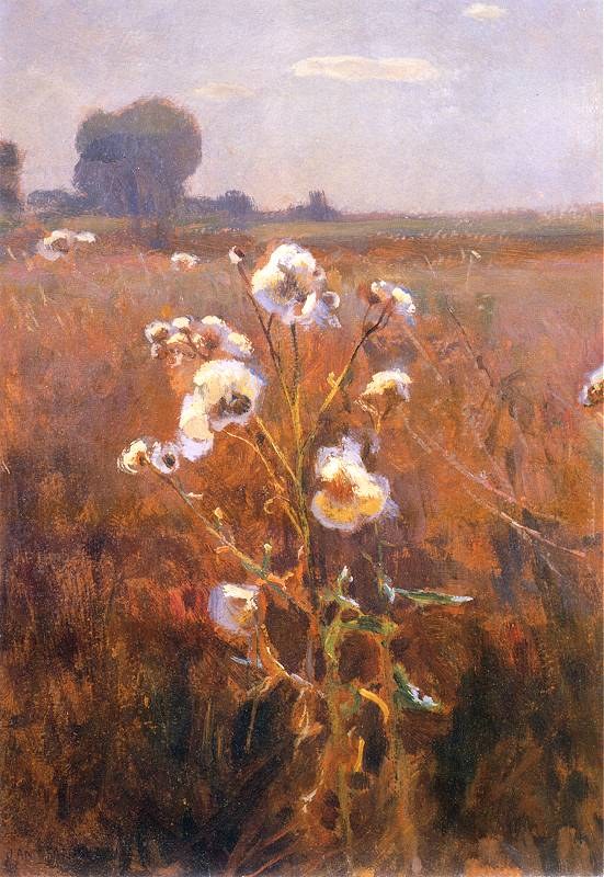 Thistles