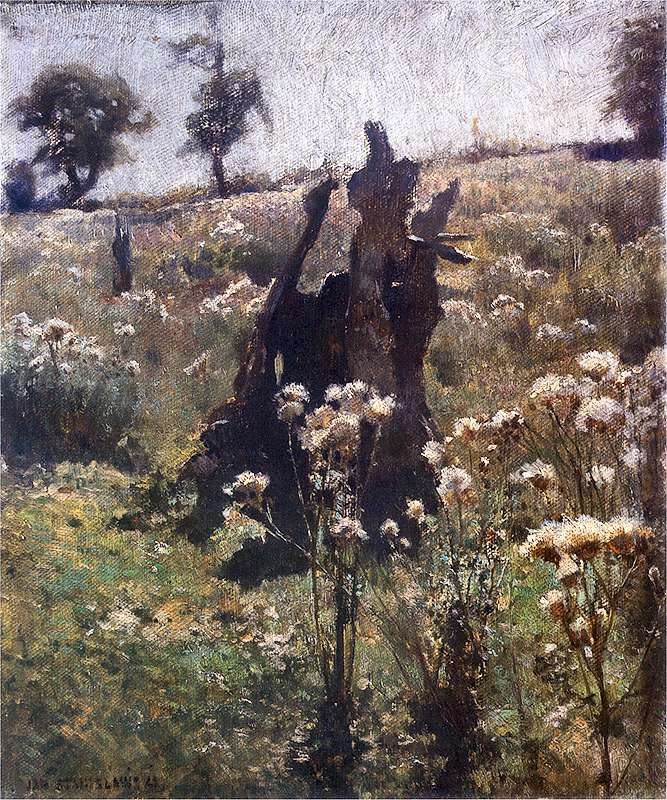 Thistles