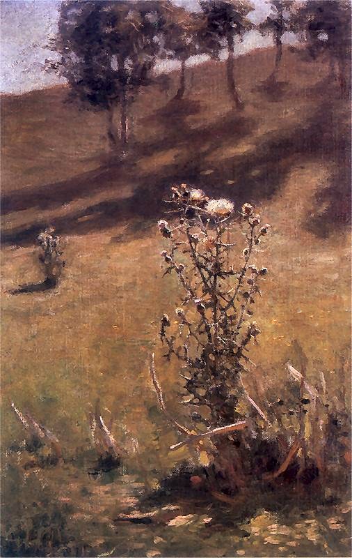 Thistles