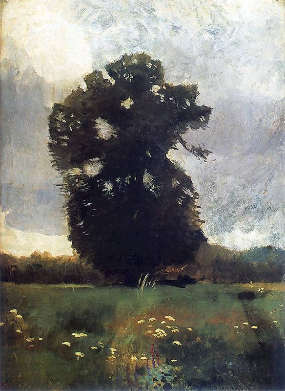 Oak