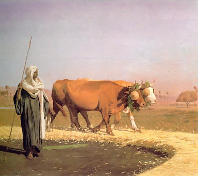 Treading Out the Grain in Egypt