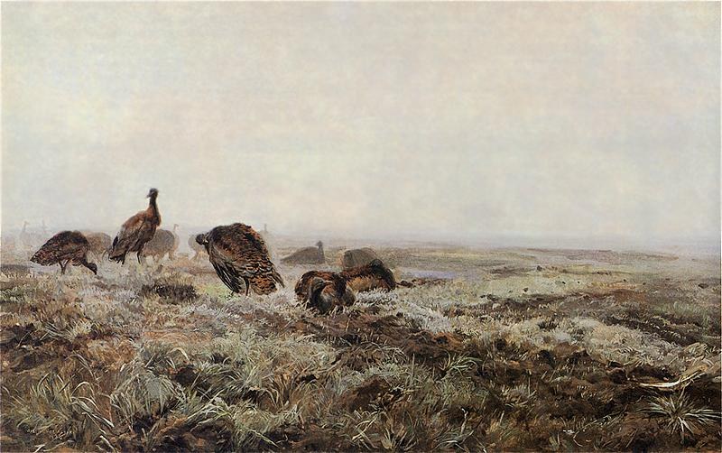 Bustards